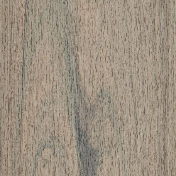 Trex Lineage Biscayne